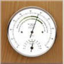 Station météo suspendue - baromètre, hygromètre et thermomètre - noir avec  cadrans dorés - – Garden Seeds Market